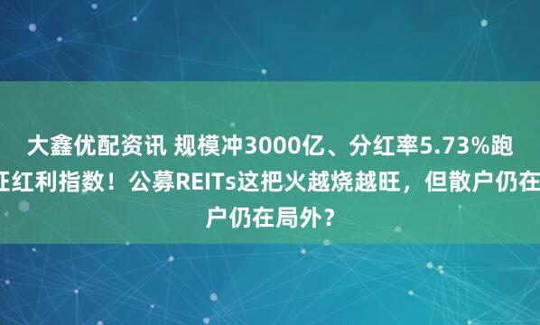 大鑫优配资讯 规模冲3000亿、分红率5.73%跑赢中证红利指数！公募REITs这把火越烧越旺，但散户仍在局外？
