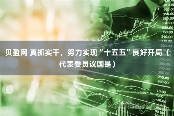 贝盈网 真抓实干，努力实现“十五五”良好开局（代表委员议国是）