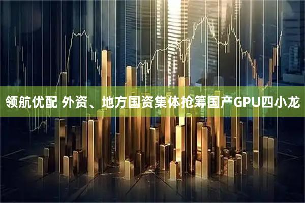 领航优配 外资、地方国资集体抢筹国产GPU四小龙