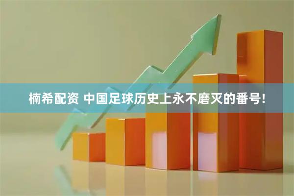 楠希配资 中国足球历史上永不磨灭的番号!